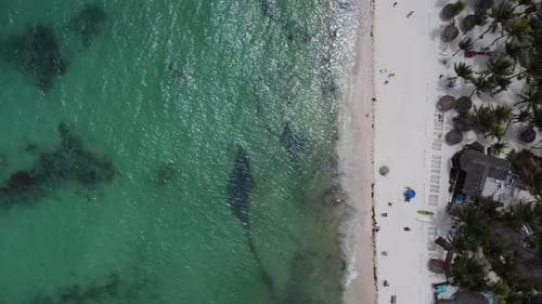 A beautiful beach in the tourist city of Playa Del Carmen. Mexico