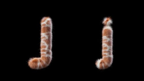 3D animation of a uppercase and lowercase Giraffe woolen letter J