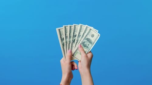 Hands counting dollar bills on blue background. Close up of woman hands count money cash.