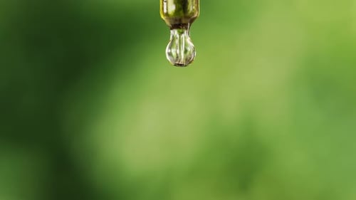 Clear Drop Hanging from Pipette