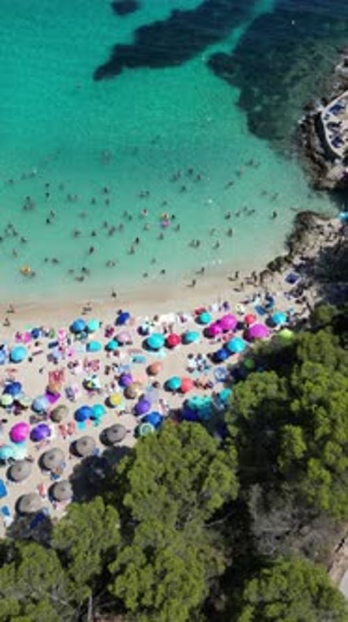 Playa illetas with clear turquoise waters and sunbathers on the beach, mallorca, spain, aerial view