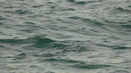 Ocean Waves Texture Water Surface Grey Natural Sea Surface Texture Image Showing Grey Waves