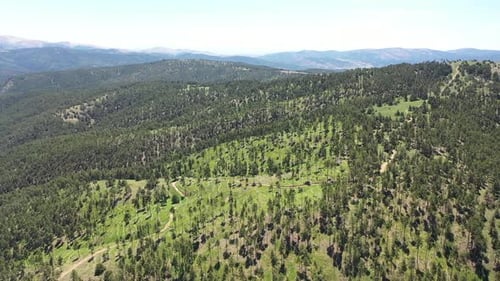 La cime des arbres avec vue aérienne