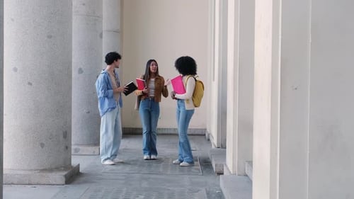 Diverse university students talking in a columned hallway