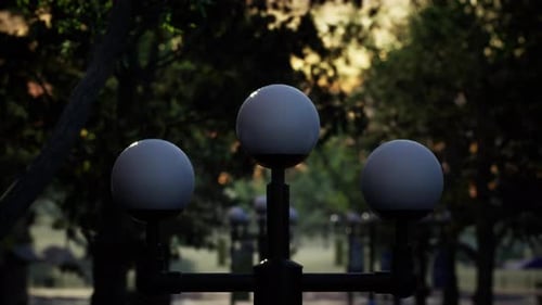 Empty City Park During the Covid 19 Pandemic