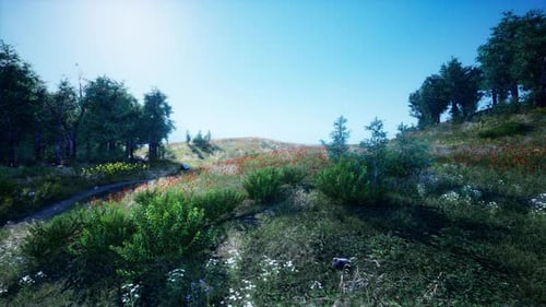 Beautiful Panoramic Landscape of the Mountain Valley