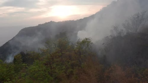 Fire in the tropical forest