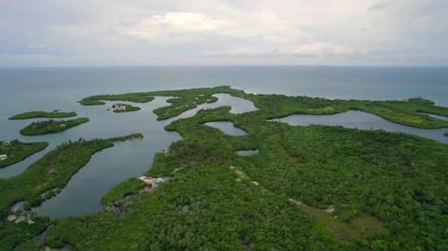 Set of mangrove lagoons in Tintipan Colombian island. Aerial dolly out