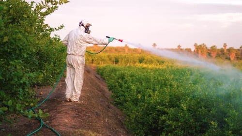 Protective Suit Sprays Crops in Field at Dusk
