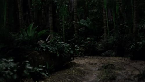 Off Beaten Track Through Lush Wilderness and Rugged Landscape