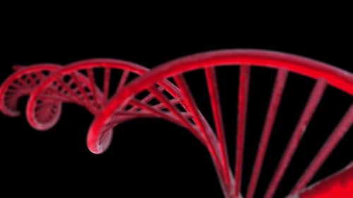 red dna animation design