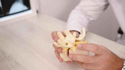 Doctor Demonstrates Spinal Anatomy Model in Office