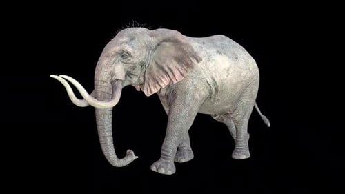 Elephant Walk Idle
