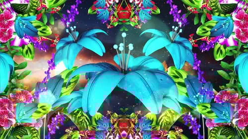 Vibrant Blooming Flowers Kaleidoscope Loop Background