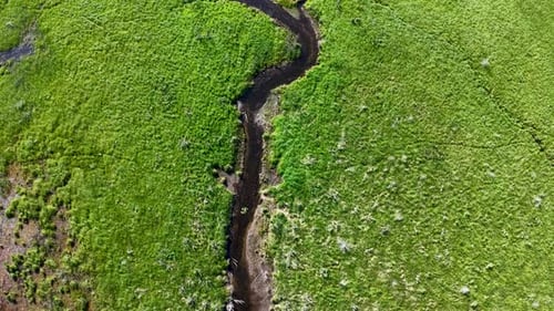 Aerial drone shot of a narrow winding stream cutting through lush green wetland vegetation in