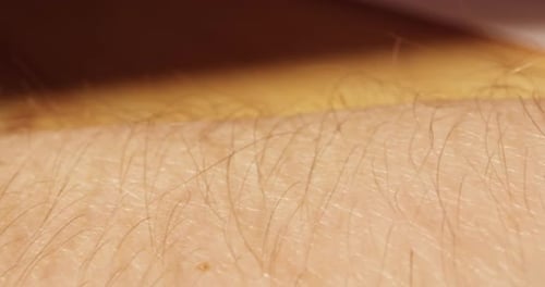 Hand Skin Texture Hair Closeup