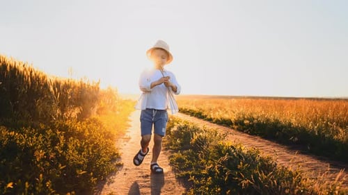 Little Boy in Panama Hat of Smiling and Happy Kid in Nature on Field with Wheat Playing with Kite