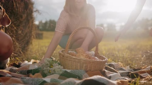 Close Up of Family Picnic in Open Field with Sunlight Glow and Rustic Charm