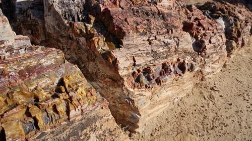 Vue rapprochée des couleurs et de la texture du bois pétrifié provenant d'un vieil arbre