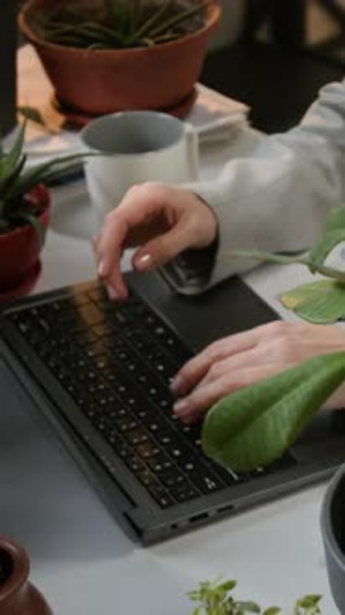 Woman Typing On Laptop Among Office Plants