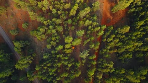 Rising over the wood crossed by the road. A lonely tent is set among the trees. Camping in nature.