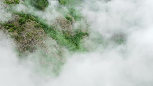 Nature, été, forêt verte, nuages, ciel, matin, brouillard, brume, aérienne