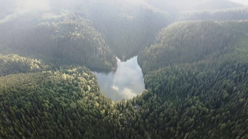 Serene Aerial View Over Lake Synevyr Amidst Forested Carpathians