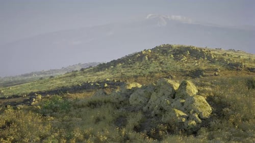 Calm Dawn Scene Featuring Foggy Slopes and Glaciertopped Peaks