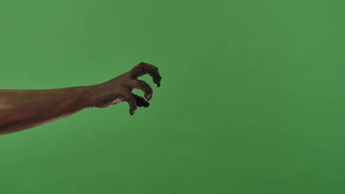 A Creepy Zombie Hand is Frightening