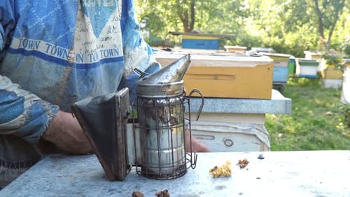 Beekeeper Smoking Bees on Honeycomb at Apiary
