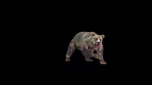 Bear Stand Attack 2