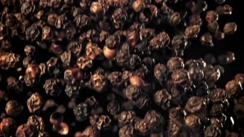 Black Pepper Flies Up and Falls Down Filmed on a Highspeed Camera at 1000 Fps