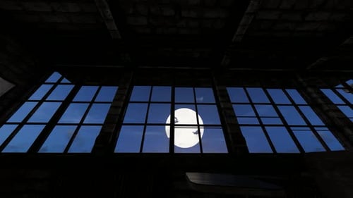 Halloween Night with Bats Flying Across a Full Moon