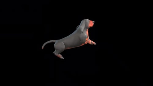 3D Dachshund Dog Jumping Animation with Alpha Channel