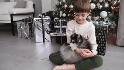 Boy Cuddles Dog near Christmas Tree Presents