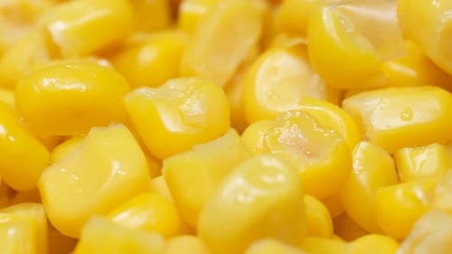 Yellow Sweet Corn Seeds Macro Shot