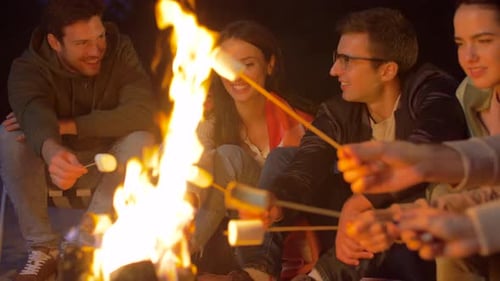 Friends roasting marshmallows at a campfire on a beach in summer at night