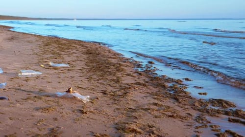 The Litter Scattered Along the Ocean Beach Indicates a Significant Environmental Problem That Needs
