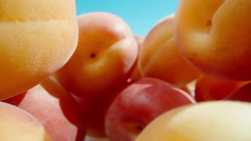 A mountain of apricots against the blue sky. the camera moves through the apricots. Dolly slider ext