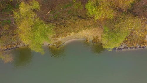 Autumn forest near the lake. Yellow trees and blue water. Top view. Drone shot. Aerial photo