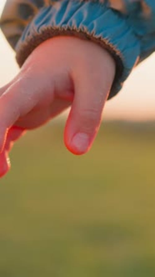 Child Reaching Out in Sunny Field