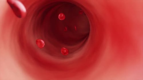 3D Animation of Blood Cells and Sickle Cell Flow