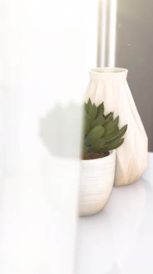 Indoor plant and ceramic vase