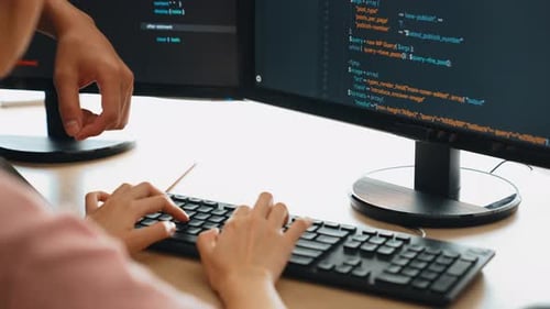 Back end or software developer manager supervising coding. Burgeoning