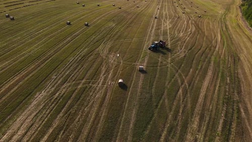 Aerial Panoramic View of the Tractor is Working on Wheat Field with Haystacks Drone is Flying