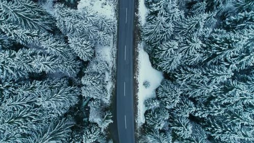 Drone survole une route asphaltée enneigée en hiver en forêt
