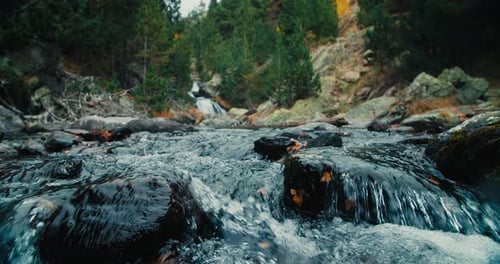 Flowing Water on Rocks in Mountain River and Waterfall in the Forest on Tavel