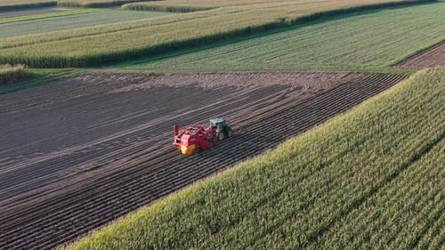 Aerial View of Tractor with Potato Harvester Machine Collecting Crops in Farmland