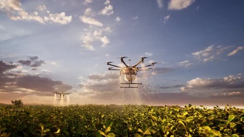 Agricultural Drones Spraying Pesticides Over A Field At Sunset