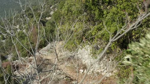 Man With Dog Running On Dirt Track With Stone Walls On A Sunny Day In Cres Island, Croatia. - aerial